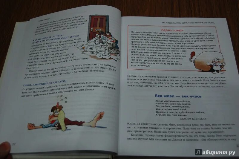 Живи легко эндрю. Живи легко эндрю