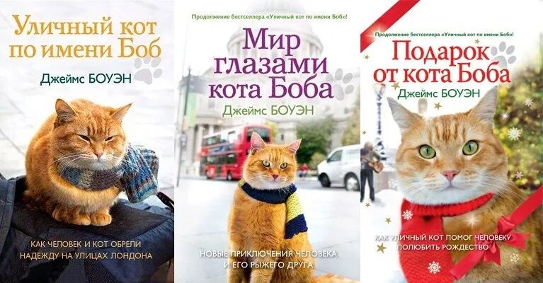 Книга кот боб читать. Уличный кот по кличке боб книга.