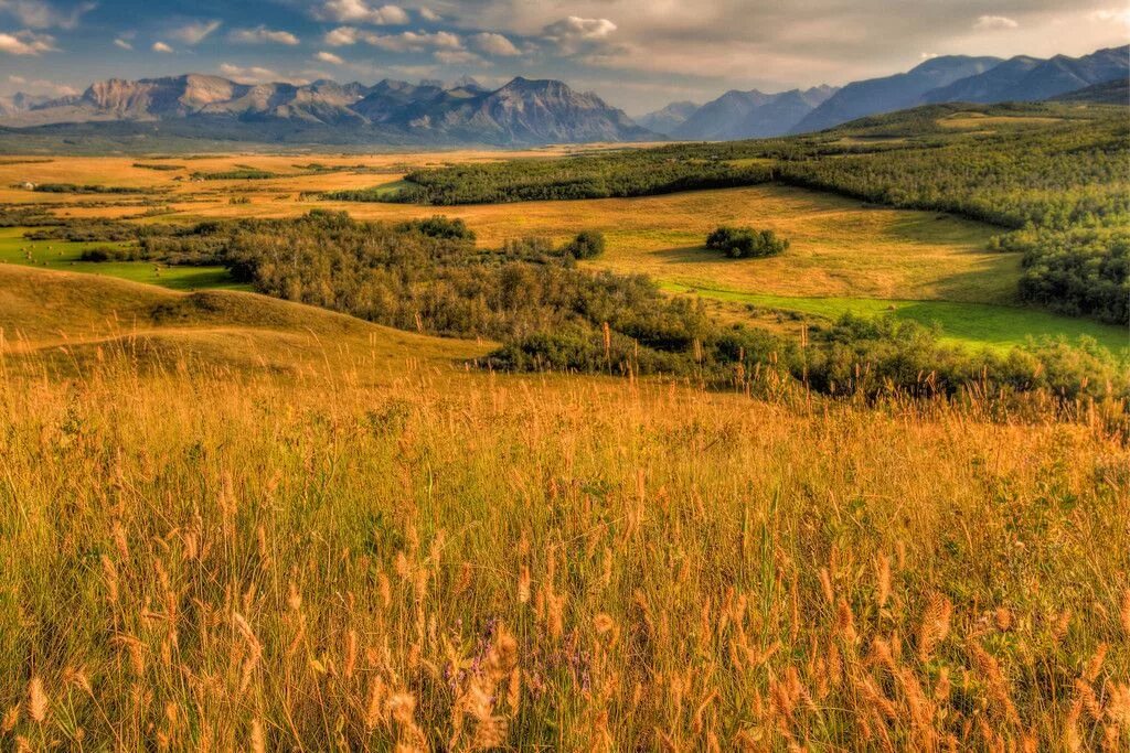 Vast country. Прерии Северной Америки. Прерия Канады. Национальный парк Грасслендс. Великие прерии Канада.