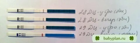 Лесбиянкалармен, әжелермен және жас әйелдермен тегін онлайн порно