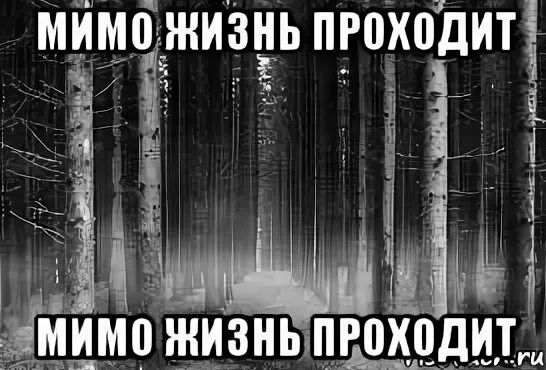 Жизнь прошла мимо