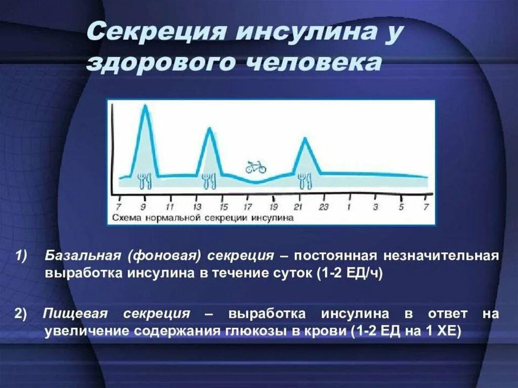 Инсулин в течении дня