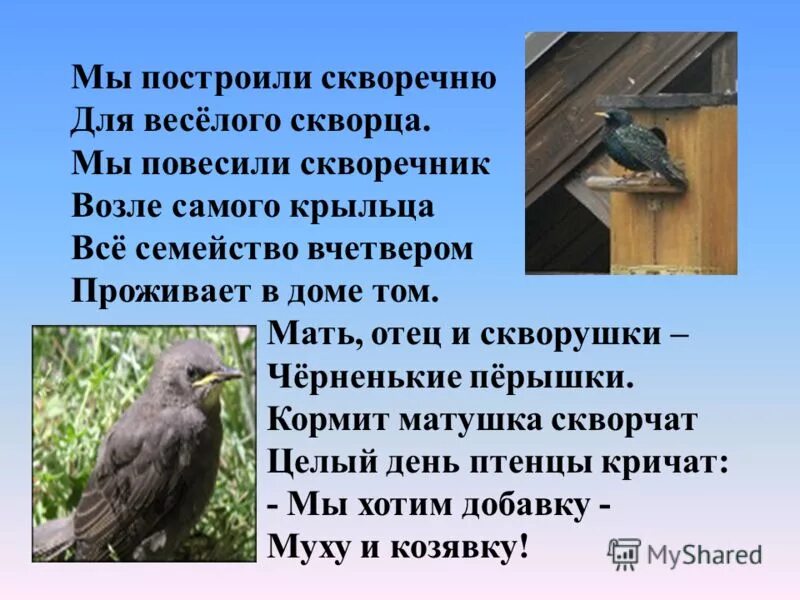 Строфа в стихотворении уступи мне скворец уголок