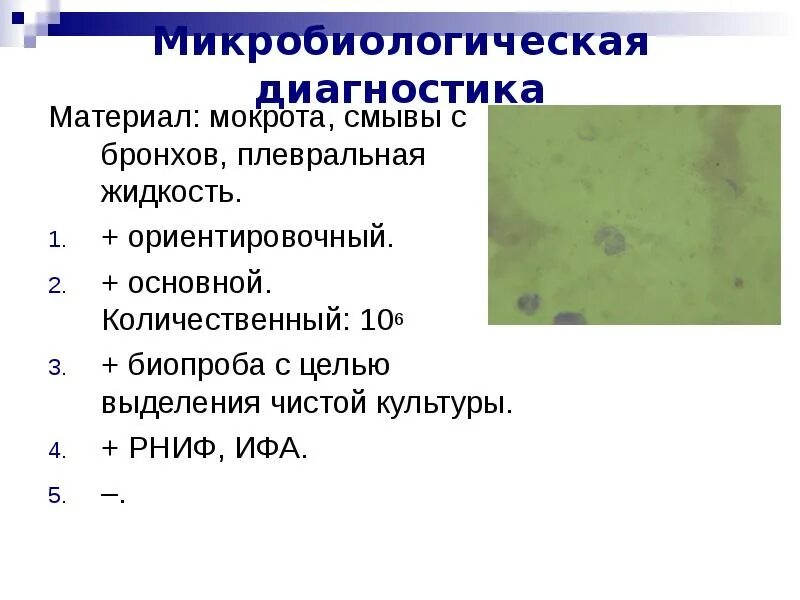 Кокковидные бактерии в мокроте. Микроскопическое исследование мокроты кокки. Бациллы кокки в мокроте. Вирус слизь