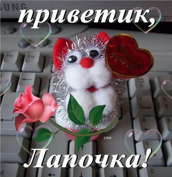 Доченька лапуля лапуля. Доброе утро лапочка. добрый день лапочка. доброе утро лапуля. с добрым утром лапочка.