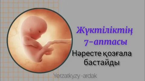 Апорт эротикасы және ересектерге арналған секс галереялары