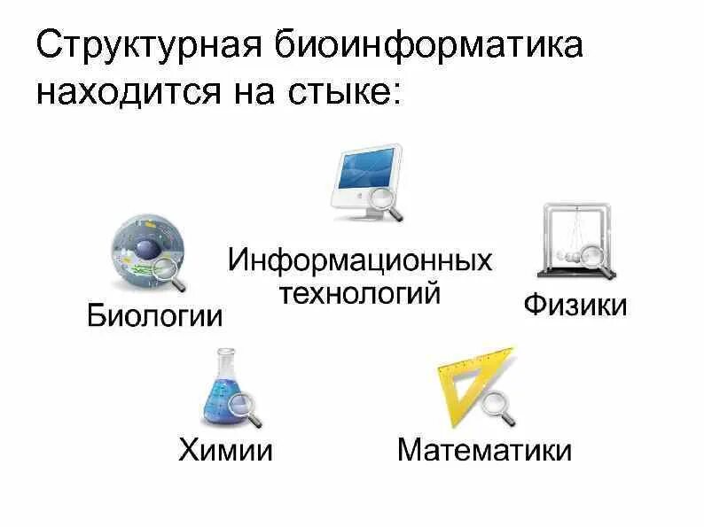 Суть биоинформатики. Структурная биоинформатика. базы данных в биоинформатике. задачи биоинформатики. методы биоинформатики.