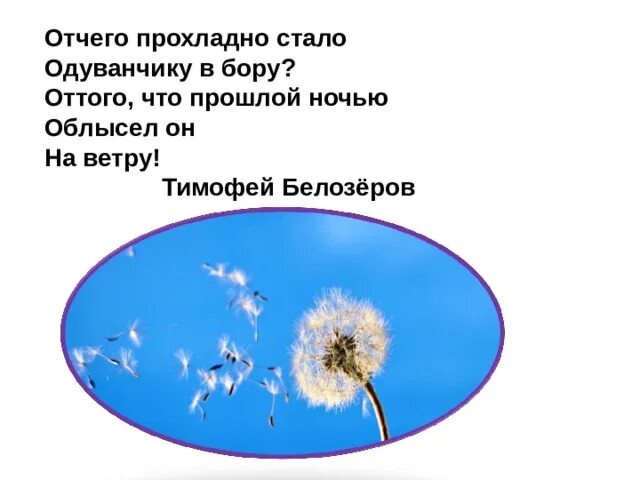 Одуванчик на закате. Одуванчики абстракция. Став одуванчик. Руническая формула от отеков. Отчего прохладно стало одуванчику в бору.