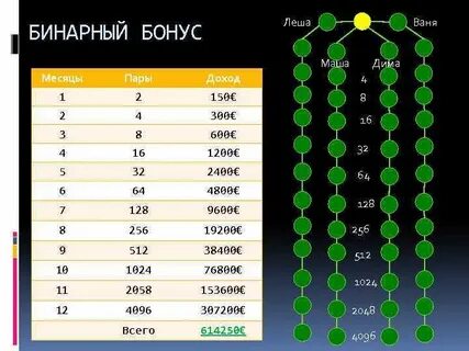 Бинарный маркетинг