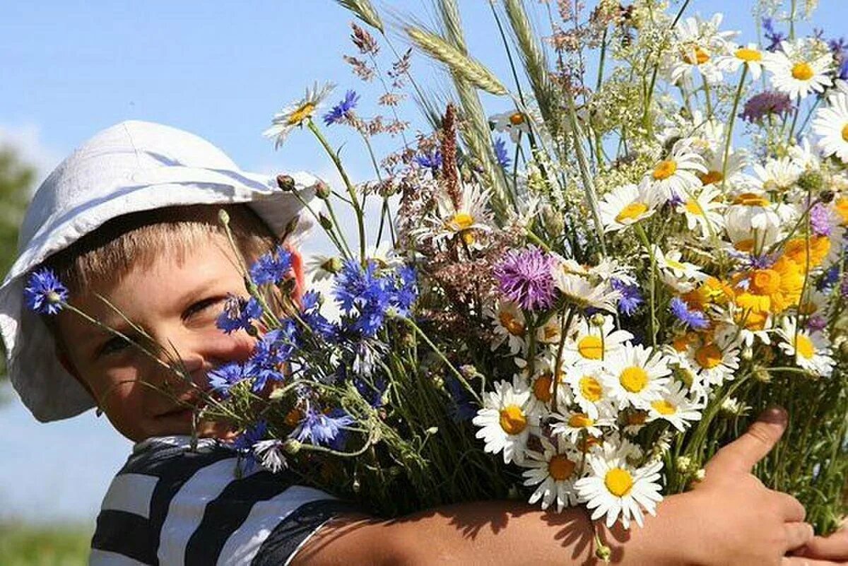 Мальчик с ромашкой. Ребенок с букетом полевых цветов. Мальчик с букетом ромашек.