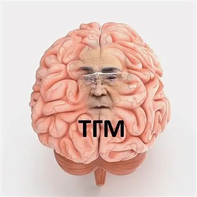 For the brain. Футболка пинки и брейн. Энигма тнт клип. Enigma tnt for the. For the brain.
