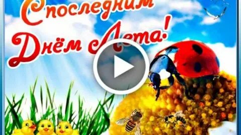 С днем лета 2021