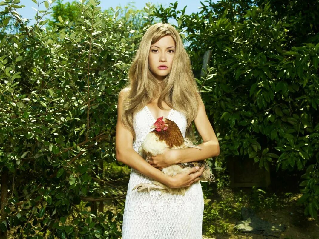 Фотосет с курицей. Женщина курица. Курицы фото девушек. Курицы фото девушек. Девушка с соколом.