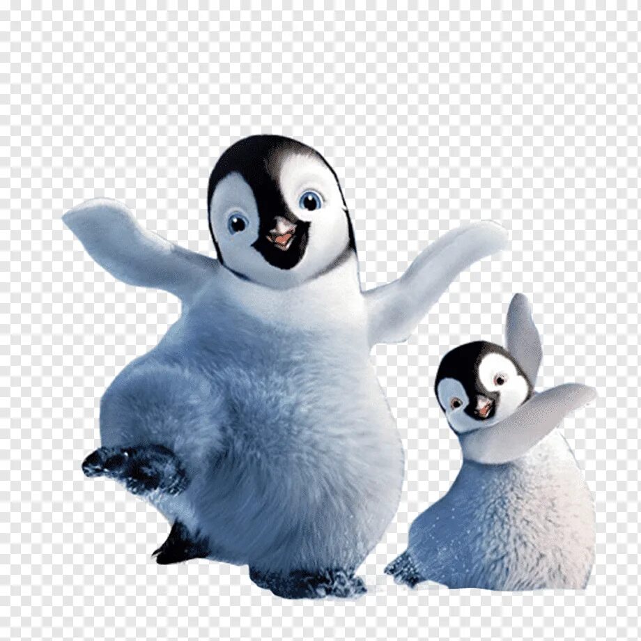 Маша и медведь пингвиненок. Пингвин. Пингвинёнок. Пингвиненок на белом фоне. Пингвины мультяшные.