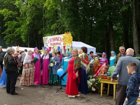 Признание велижа вк. День города Велиж. Город Велиж Велижский район. Ярмарка Велиж. Признание Велиж.