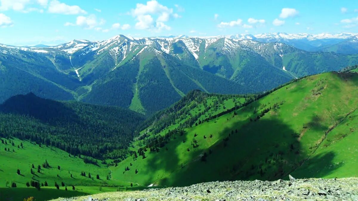 Коргонский горный хребет Алтайский край. Горы Алтая рельеф. Горы Алтая Маяк Шангина. Коргон Алтайский край хребет.