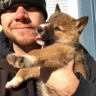 Australian kisses