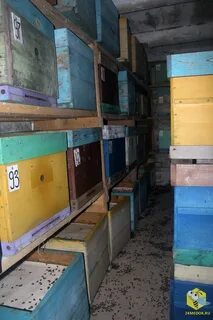 Зимовка пчел в омшанике