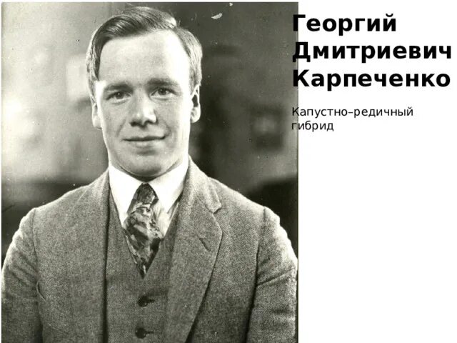 Карпеченко капустно редечный гибрид. Капустно-редечный гибрид Карпеченко. Капустноредичный гибрид.