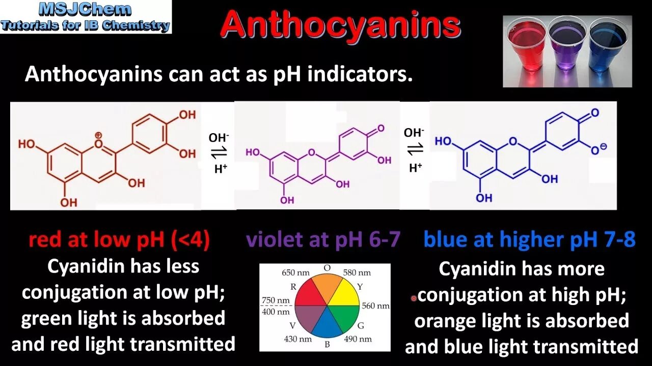 Anthocyanin structure. Пигмент антоциан. Антоцианы кислотность. Антоцианин о03.