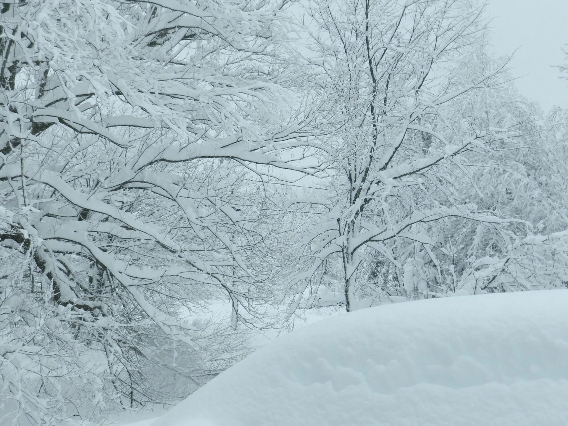 Декабрьский снег. Иллюстра снега в декабре. December sneg. December with Snows. Декабрь сугробы