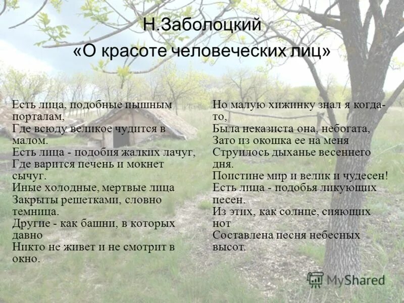 Есть лица подобные пышным порталам где. Н Заболоцкий о красоте человеческих лиц. Стих о красоте человеческих лиц. Заболоцкий стихи. О красоте человеческих лиц Заболоцкий стих.