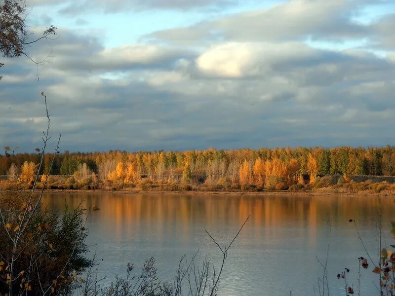Река волга изменяется в разные времена года. Река Волхов осень. Река изменяется в разные времена года. Иртыш в разные времена года. Пляж Волхов река осень.