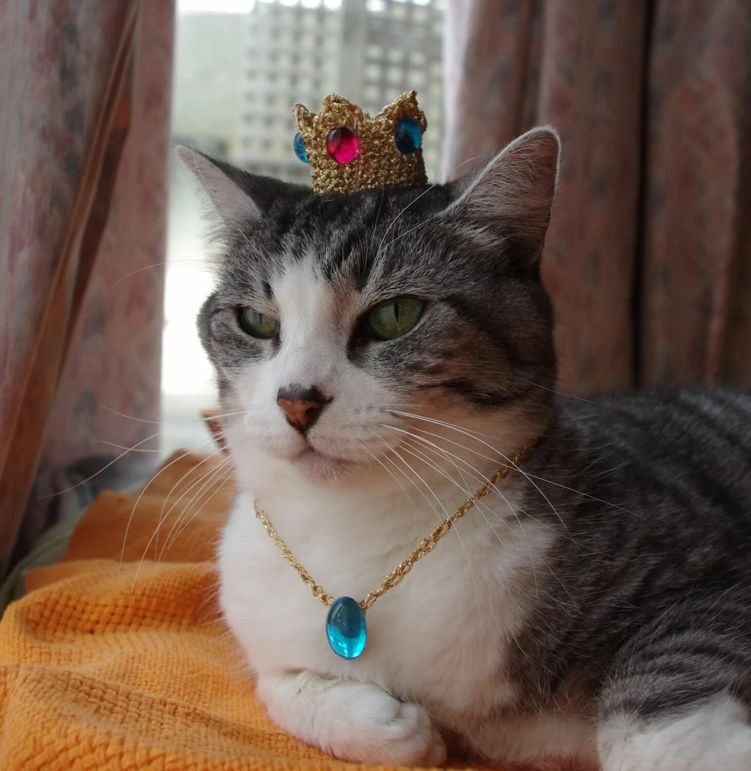 Кошечки королевы. Кошка в бусах. Королевский кот. Украшения с котиками. Кот в короне.
