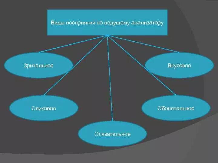 Воспринимающим элементом анализатора являются ответы к тесту. Виды восприятия по анализатору. Виды восприятия по ведущему анализатору. Виды зрительного восприятия. Классификация видов восприятия.