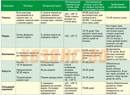 Сколько дней можно посадить