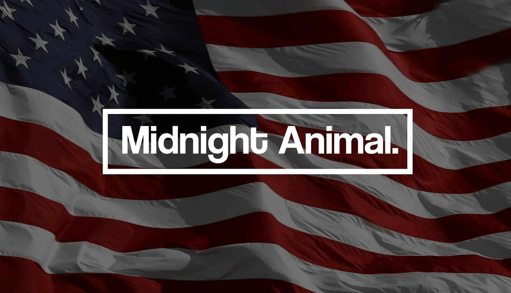 Midnight animal