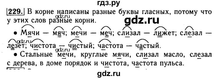 Составляло какой корень. Гдз по русскому языку 5 класс упражнение 229. Русский язык третий класс вторая часть страница 126 упражнение 229. Части слова. Корень 2 класс русский язык Бунеевы.