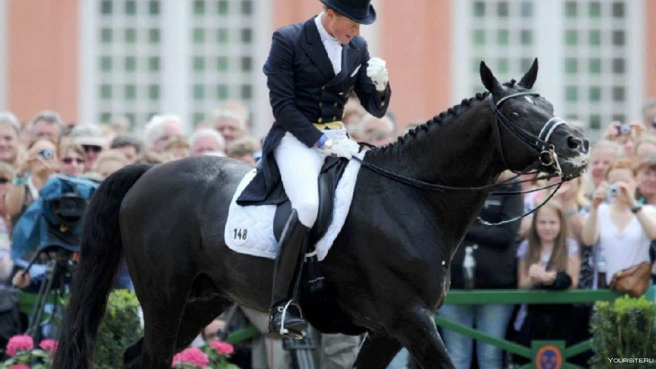 Выездка тотилас. Коне дата. Коне дата. Конный клуб йошкар-ола. Конный лагерь 2000 года в подмосковье.