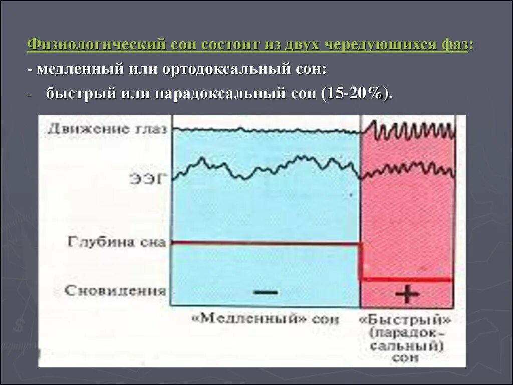 Медленный и парадоксальный сон. Медленный и парадоксальный сон физиология. Ортодоксальный и парадоксальный сон. Механизмы быстрого и медленного сна.