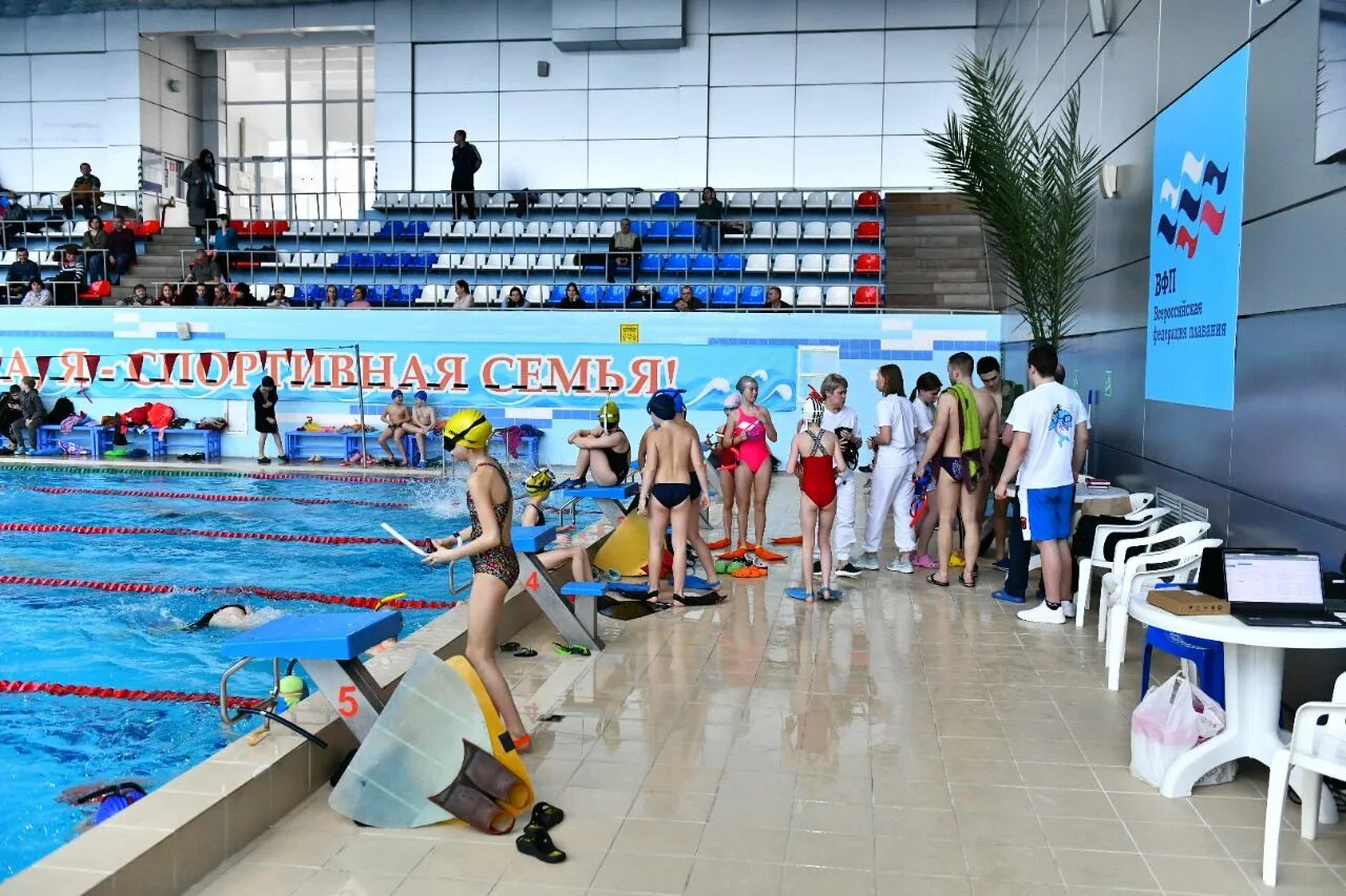 Плавание спортсмены. Водный спорт. Соревнования по плаванию. Подводное плавание. Разряды в ластах