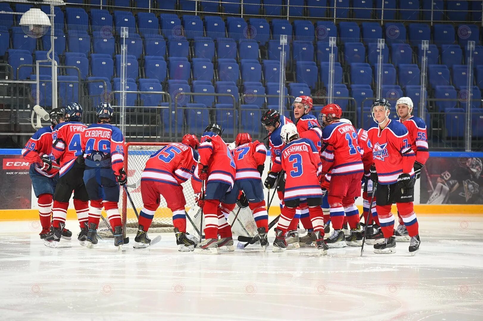 Хк ледовый. Хк медведи Подольск. Арена Витязь Подольск Молодежка.