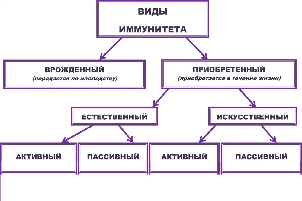 Виды иммунитета схема. Иммунитет врожденный и приобретенный схема. Виды иммунитета схема 8 класс. Классификация видов иммунитета.