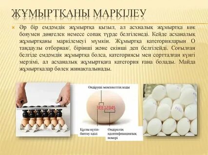 Жұмыртқаны қалай байлау керек (фото)