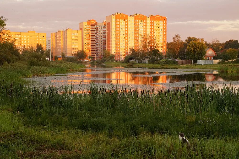 Красногорск это подмосковье. Нахабино поселок. Нахабино парк. Нахабино Красногорский район. Парк Карбышева в Нахабино.