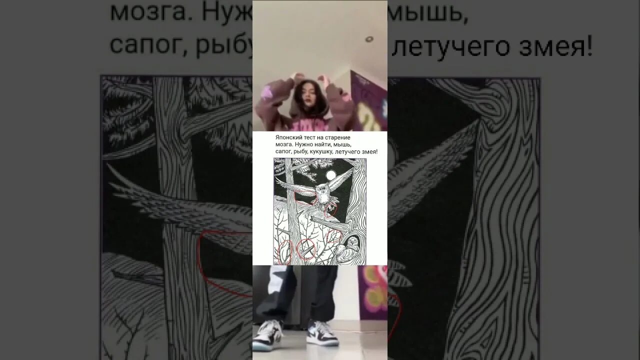 Японский тест мышь. Японский тестина старение мозга. японский тест на старение мозга. японский тест на старение. японский тест на старение мозга летучая мышь.