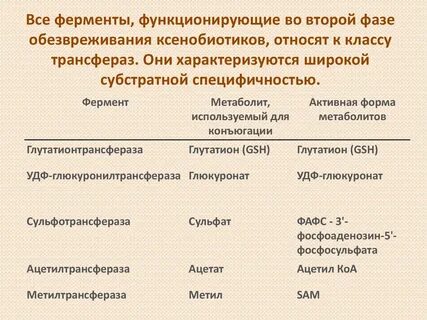 Под влиянием микросомальных ферментов печени
