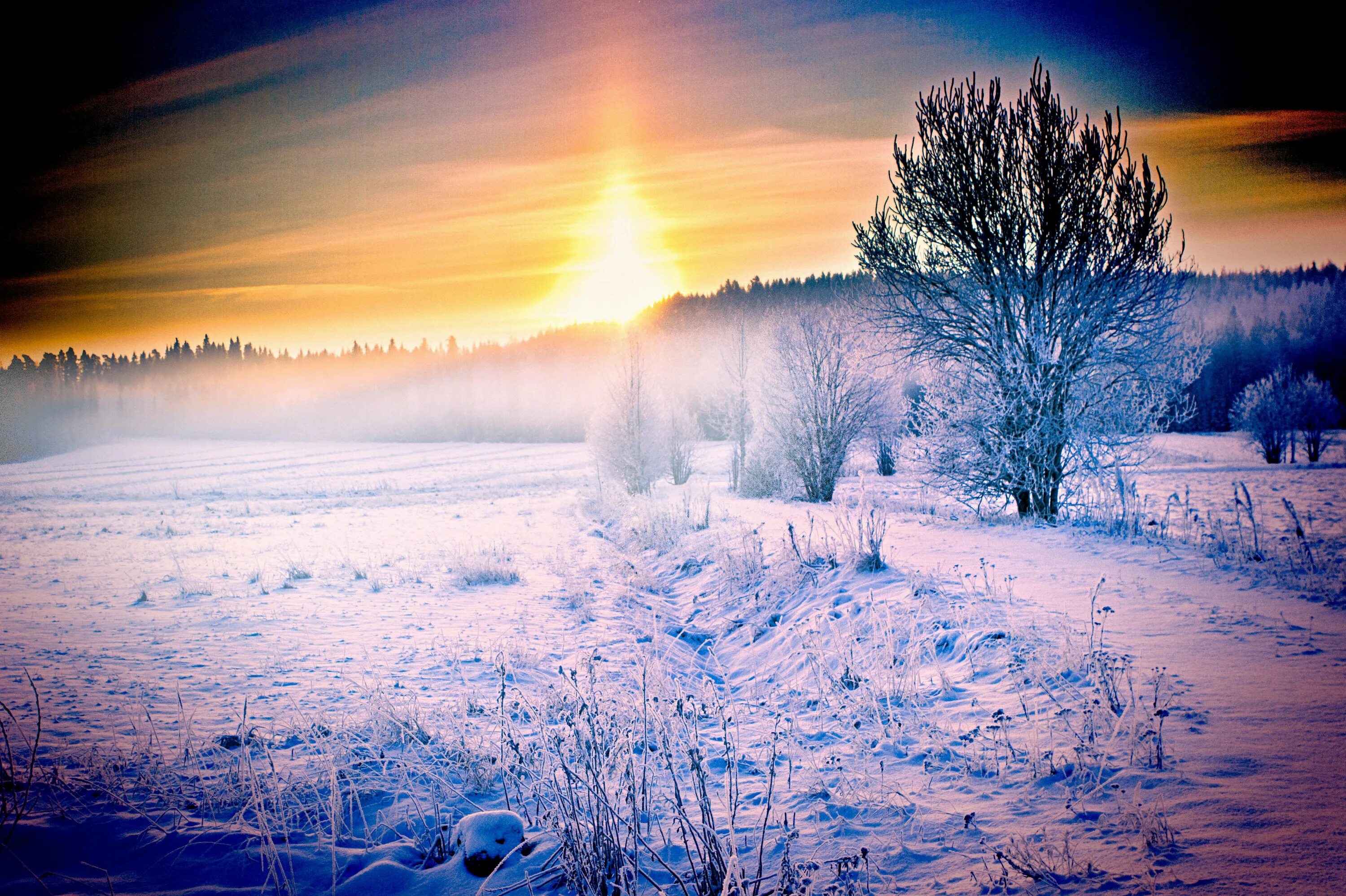 Снежное утро красивые. Зимнее утро. Зимний рассвет. Солнце зимой. Морозное солнечное утро.