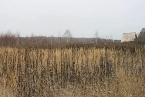 Снт земельные вопросы