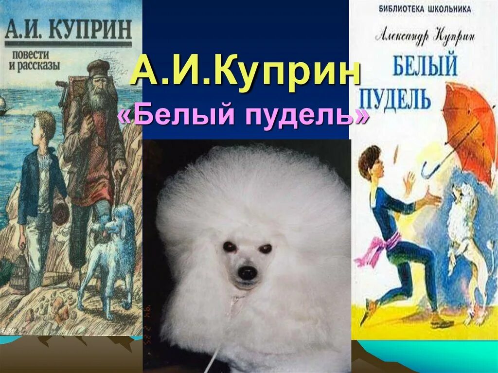 Белый пудель читательский дневник краткое. Белый пудель - а.и.Куприн 7. Белый пудель 1 глава. Арто белый пудель. Куприн белый пудель 1 и 2 часть.