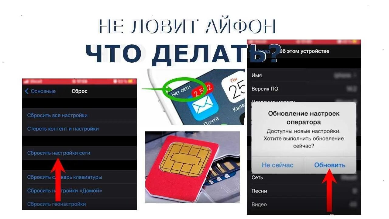 Что делать если нет сети. Сеть на айфоне. iphone пропала сеть. нет сети на айфоне. нет сети на айфоне что делать.