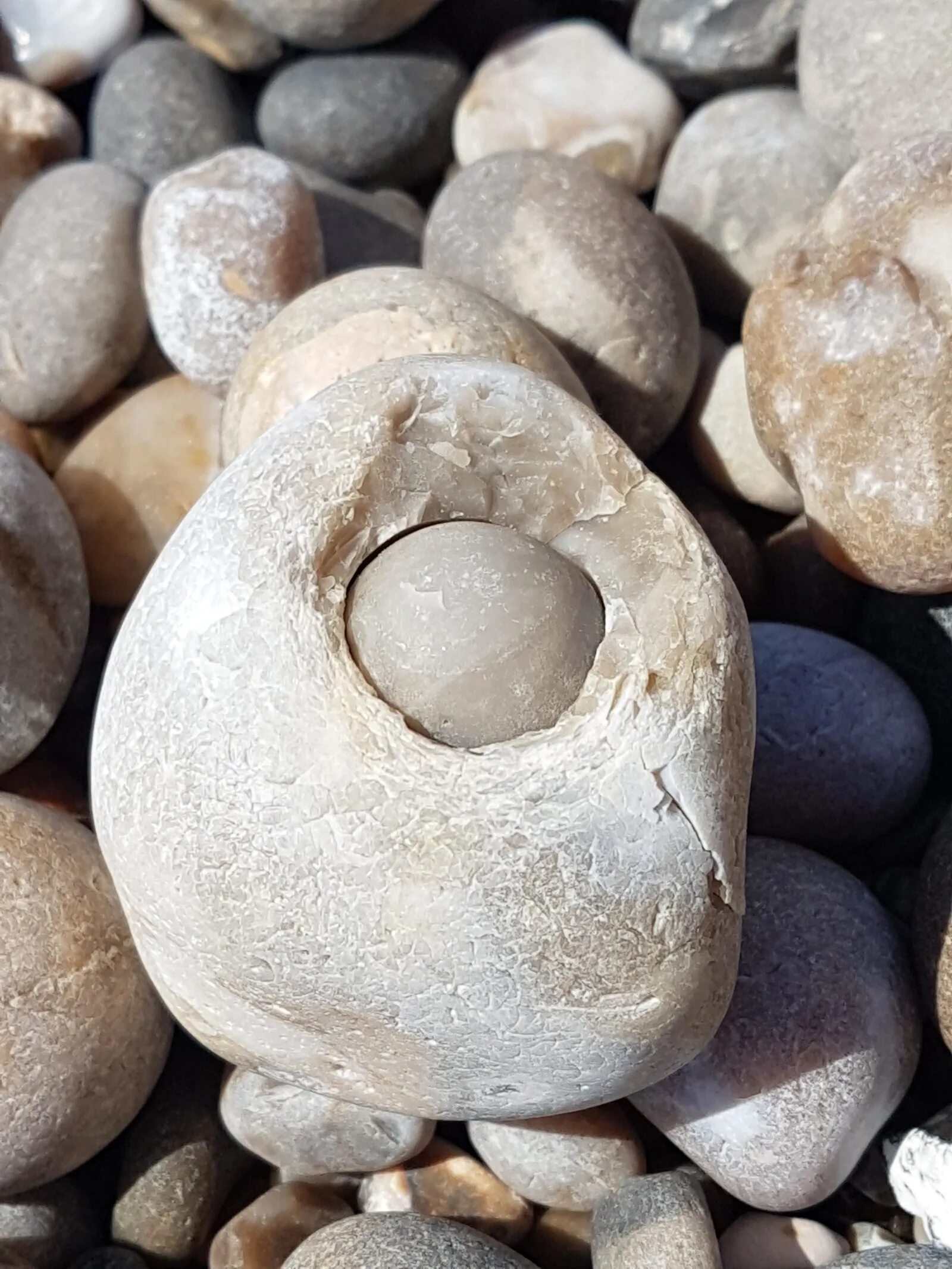 Круглый камень. Странные камни. Камни необычной формы. Необычная галька.