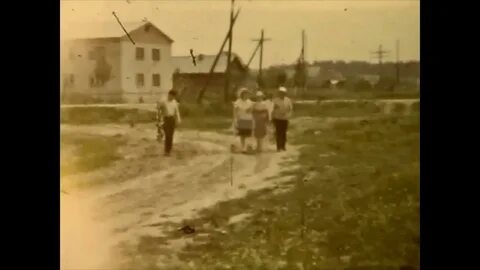 Каменское видео