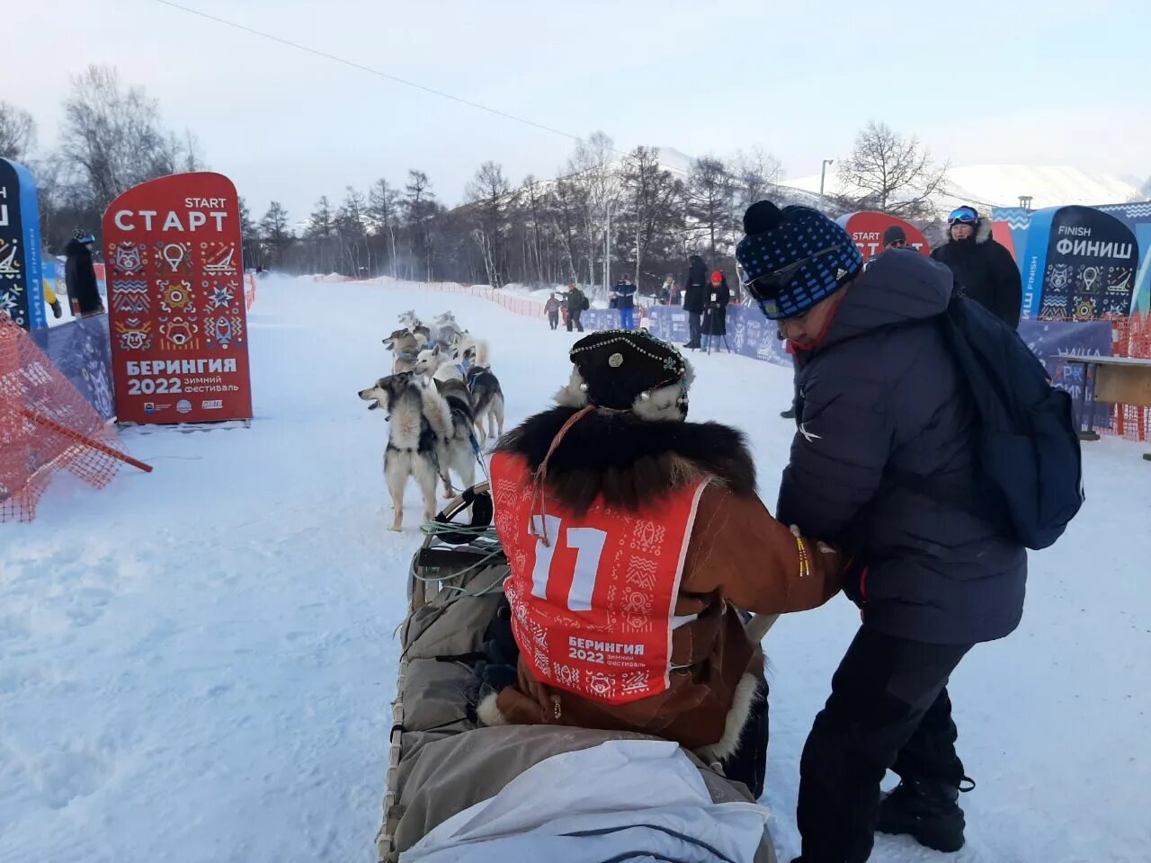 Новости камчатка март. Гонки на собачьих упряжках Камчатка. Гонки на упряжках Камчатка. Полярники на собачьих упряжках. Камчатка Берингия гонки на собаках.