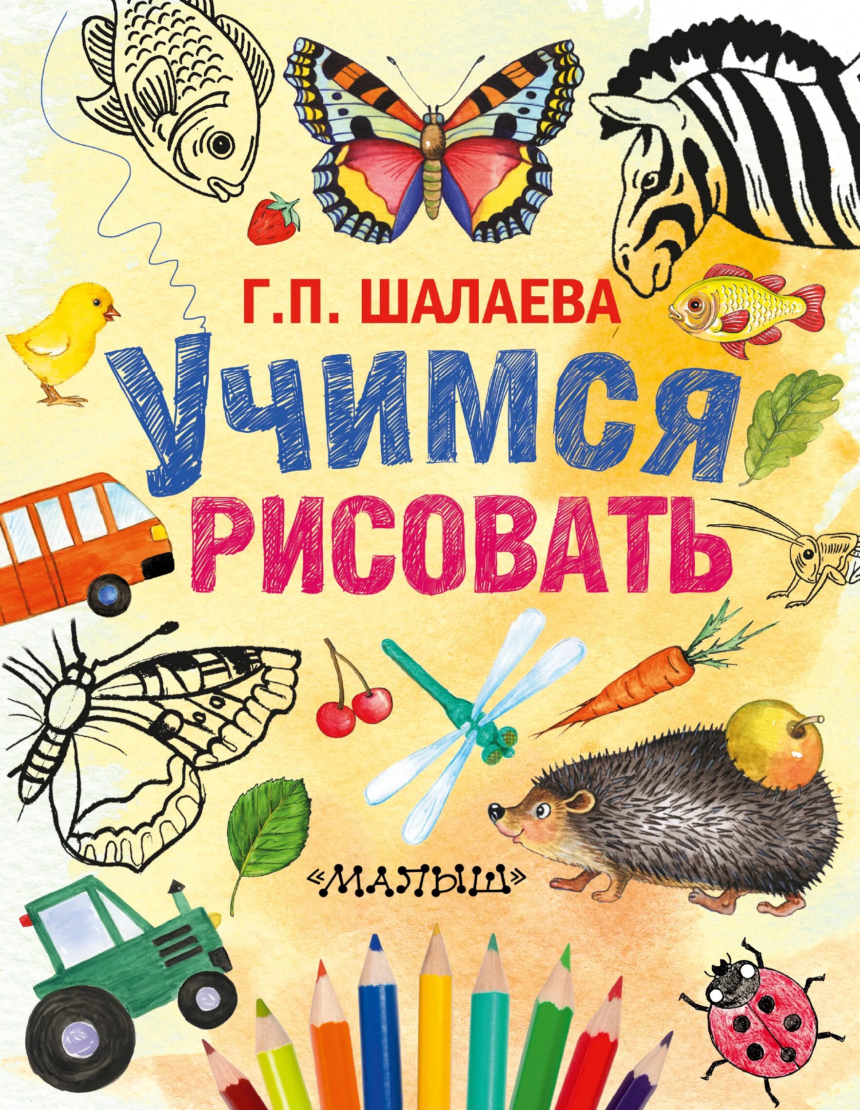 Книги галины шалаевой. Книги по рисованию для детей. Книга рисование для детей. Шалаева Учимся рисовать. Учимся рисовать, Шалаева г.п..