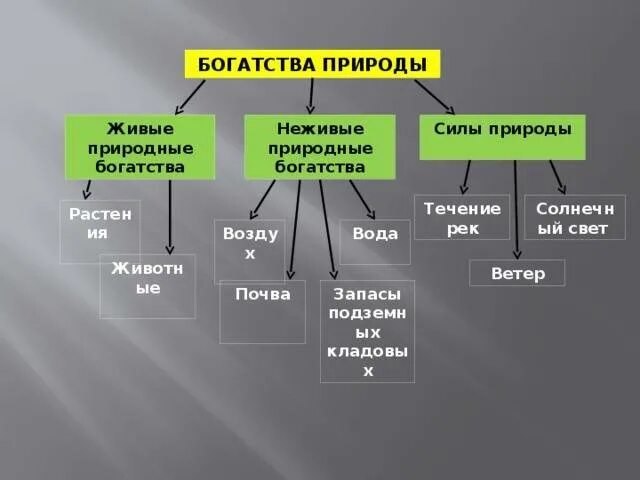 Какие богатства использует человек. Природные богатства. Природные богатства презентация. Презентация богатства природы. Природные богатства России.